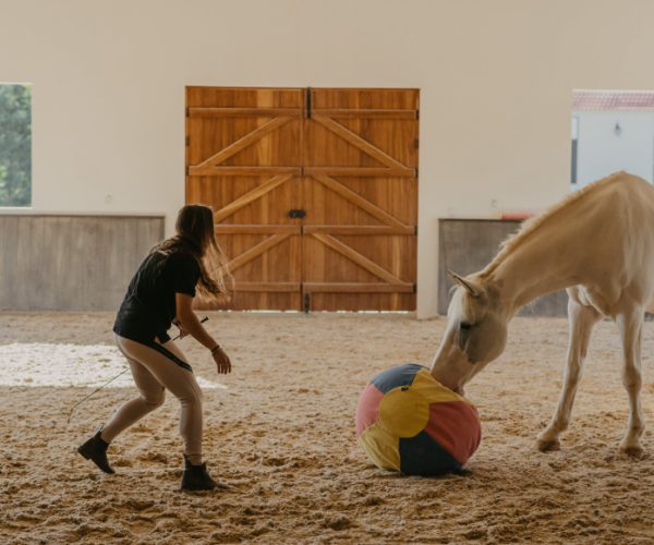 somatic retreat portugal breathwork horses farm quinta